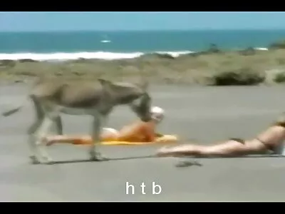 Lobo secoue sa matures nues et habillees chatte juteuse avant le sexe anal